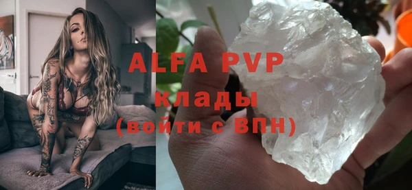 индика Нязепетровск