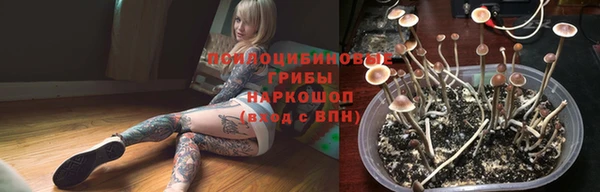 индика Нязепетровск