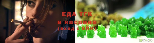 индика Нязепетровск
