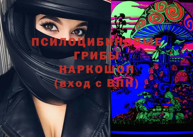 omg как войти  Новая Ляля  Псилоцибиновые грибы Cubensis 